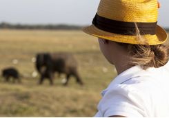 woman safari