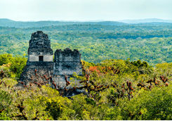 tikal ruins above treetops