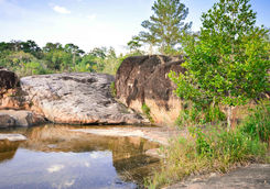 rio on pools nature park