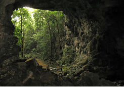 barton creek cave