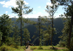 trek forest reserve belize
