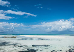 Zanzibar beach