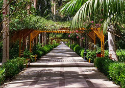botanical gardens in aswan