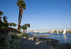 the nile and botanical garden