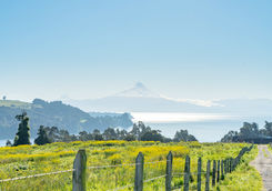 farm view of llanquihue
