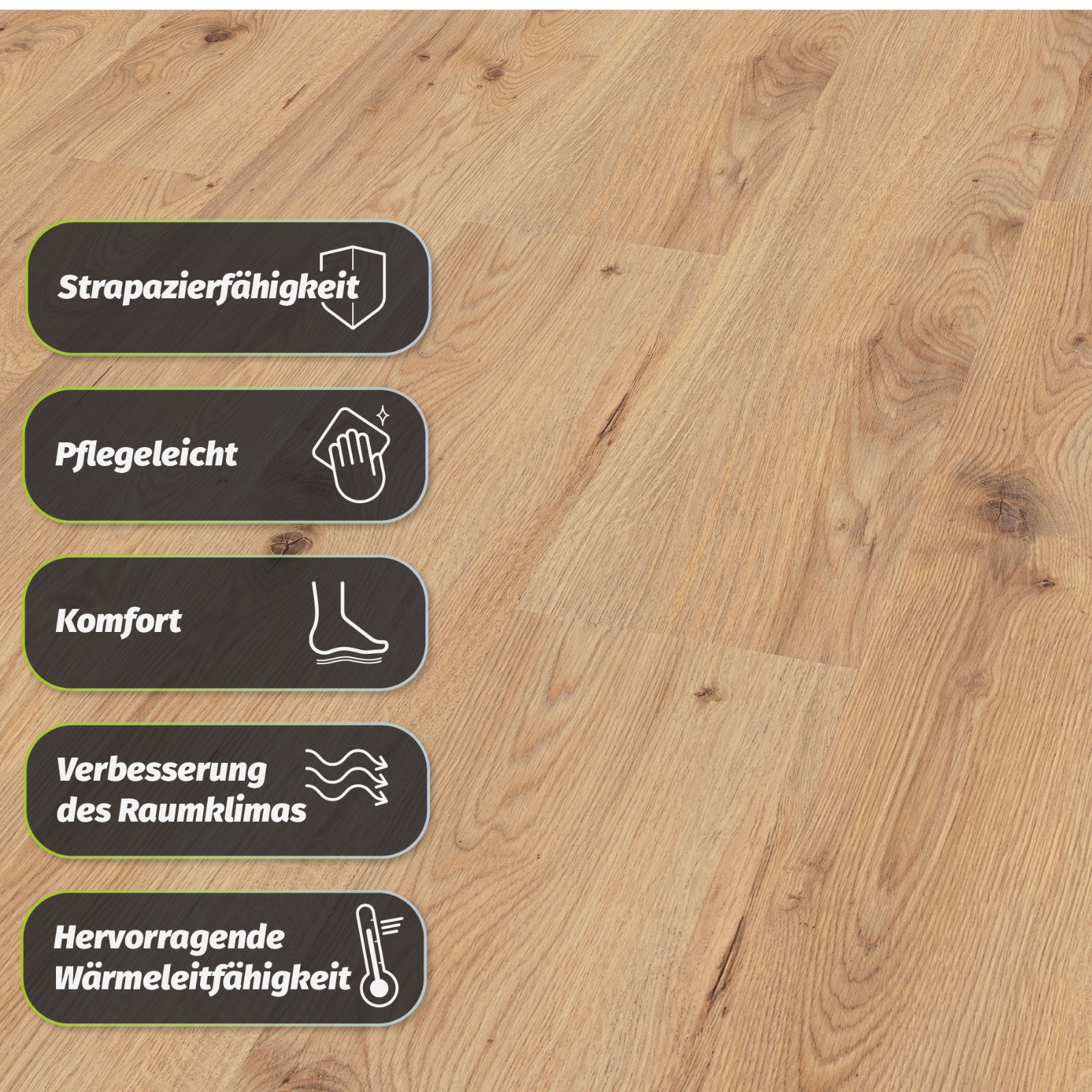 Bild 9 von 40