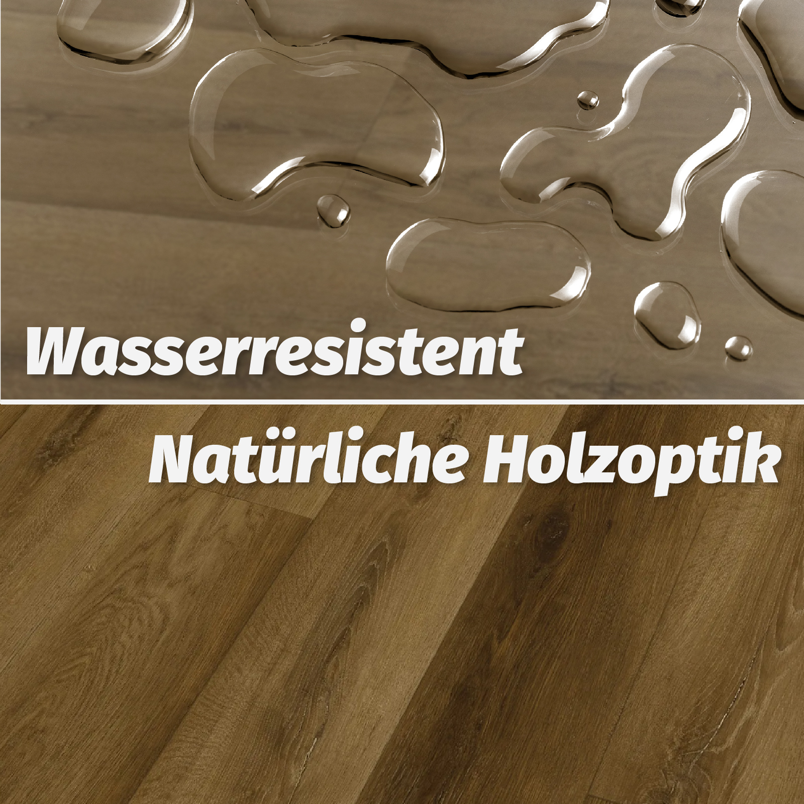 Bild 3 von 66
