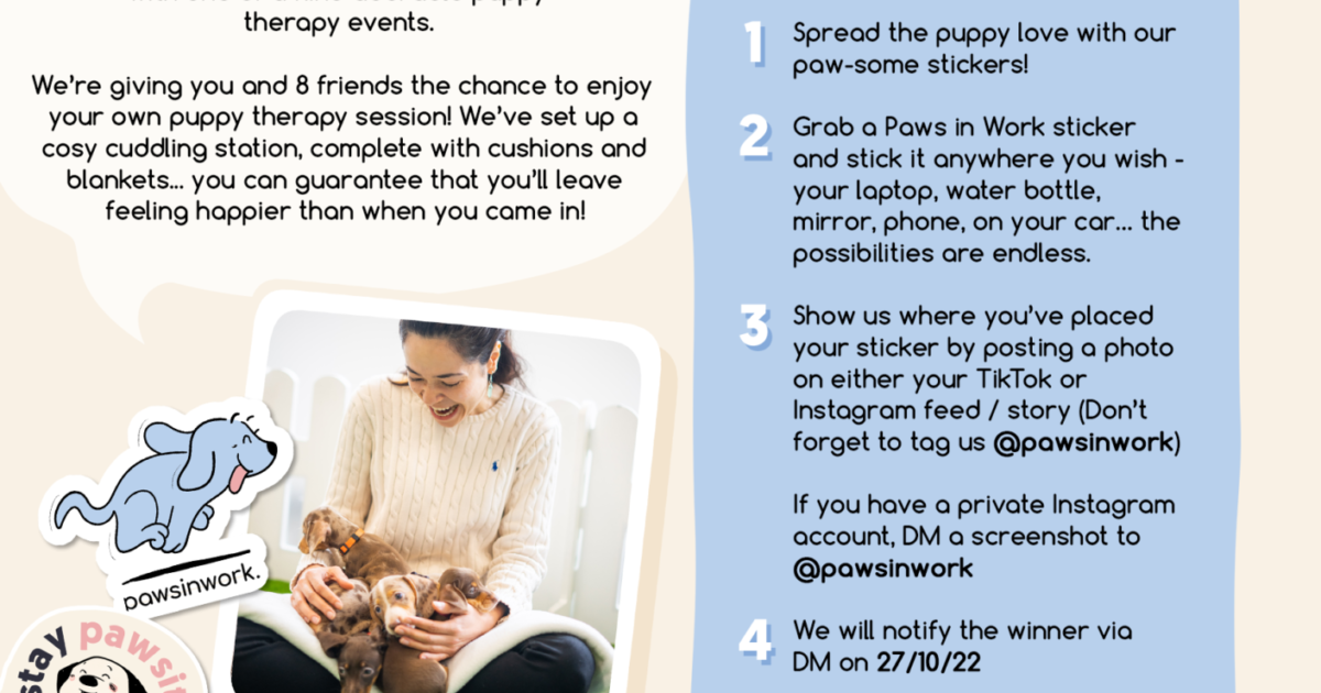 Paws in Work Sticker Competition Terms and Conditions