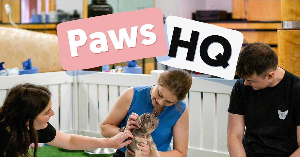 Paws in Work Inside Paws HQ Sep/Oct