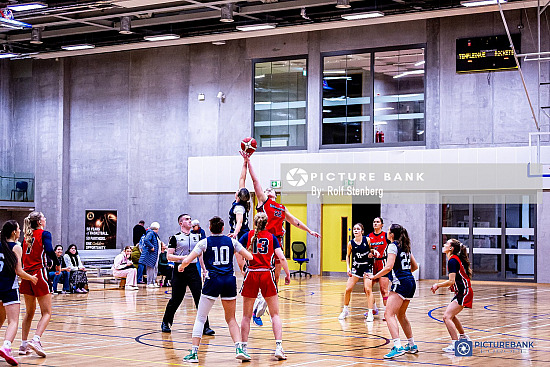 Templeogue v Cleveland Rockets
