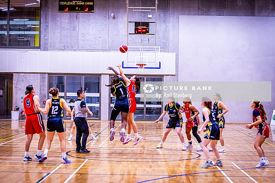 Templeogue v Ongar Chasers 