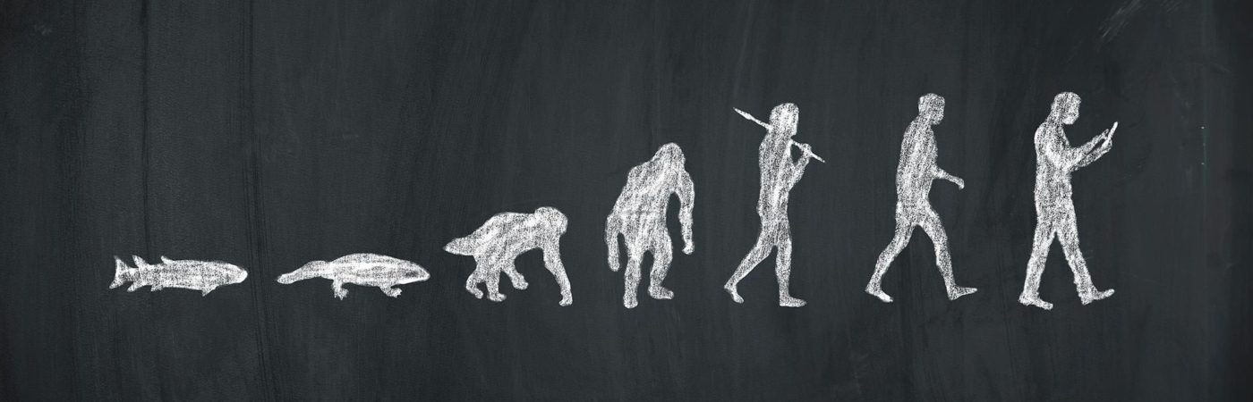 Evolution of man