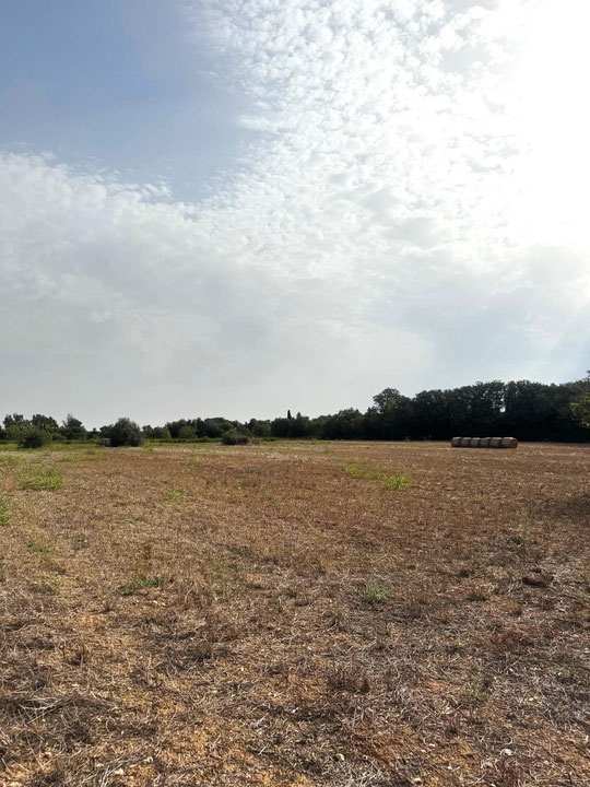 TERRENO RUSTICO EN SINEU DE 21.300 M2 CON PROYECTO APROBADO!