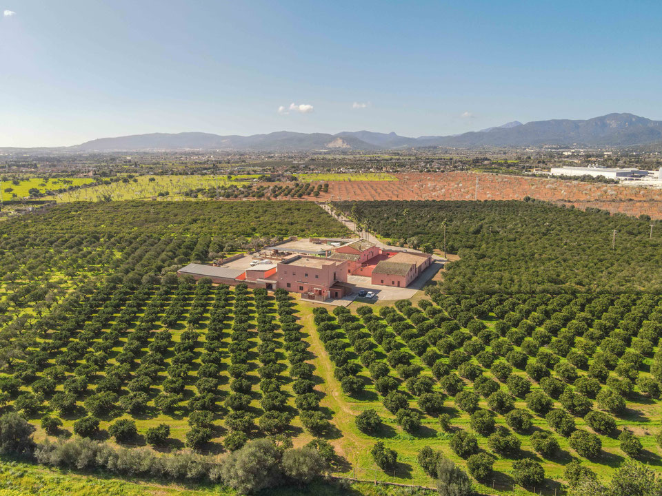 SINGULAR FINCA AGRICOLA GANADERA CON EDIFICACION
