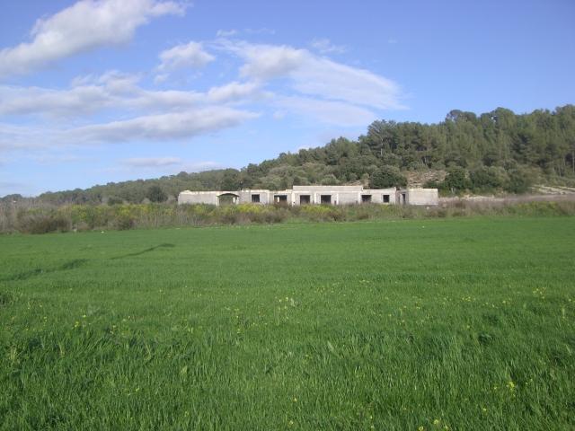 FINCA RÚSTICA EN ALGAIDA CON PROYECTO EN VENTA