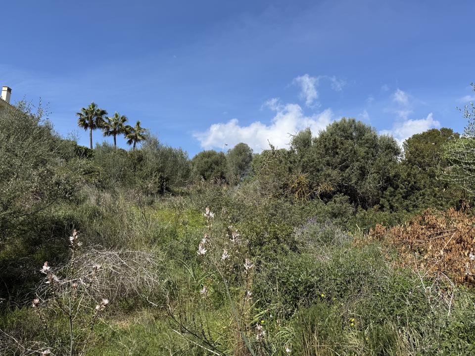 Terreno urbanizable Cala Vinyas -1248 m2