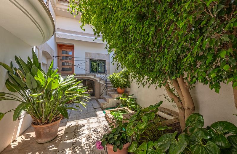 celler con mucha luz completamente reformado