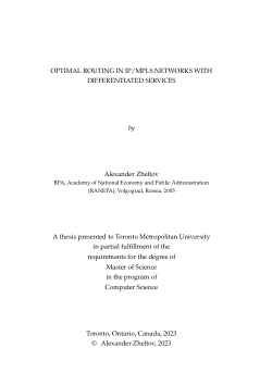 Optimal Routing in IP/MPLS Networks with Differentiated Services