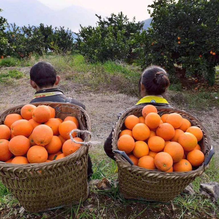 Reducing Food Waste along the Supply Chain