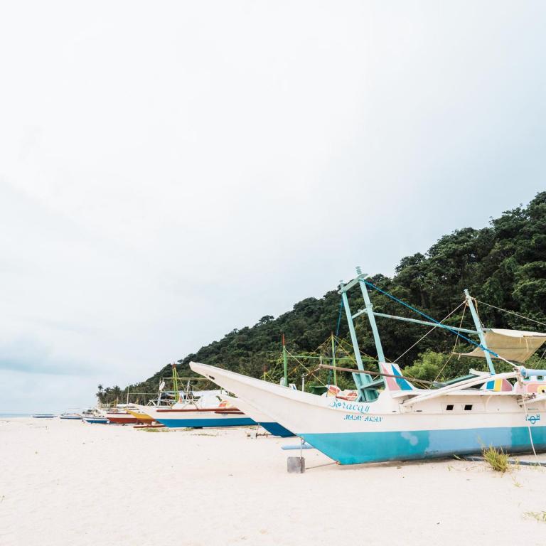 Docked Boats