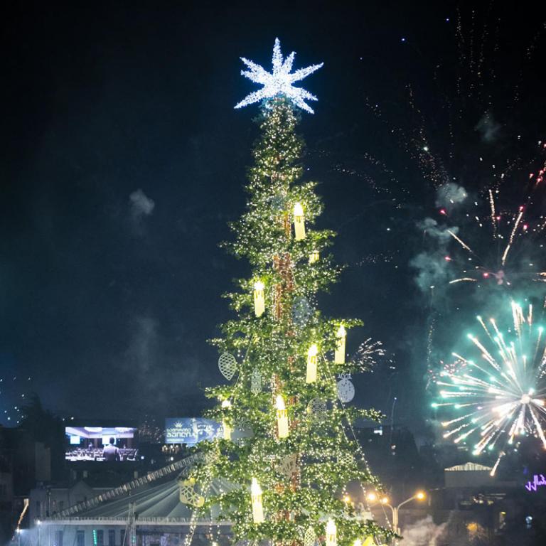 Tree