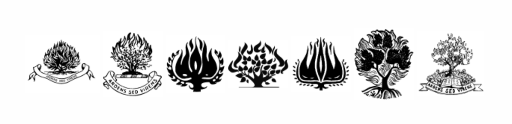 Image of burning bushes