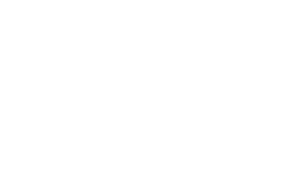 Sw network white transbg web size top