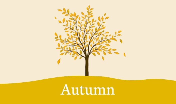 Seasons Autumn