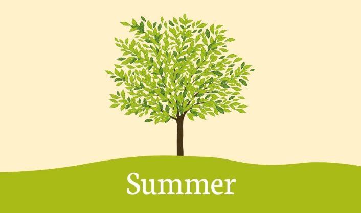Seasons Summer