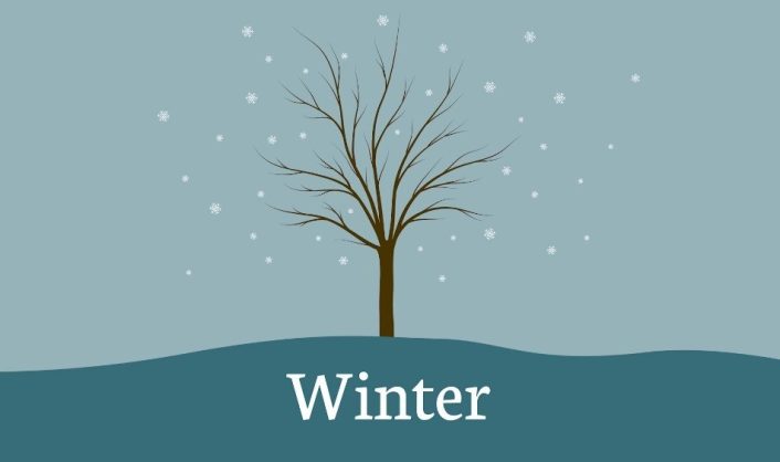 Seasons Winter