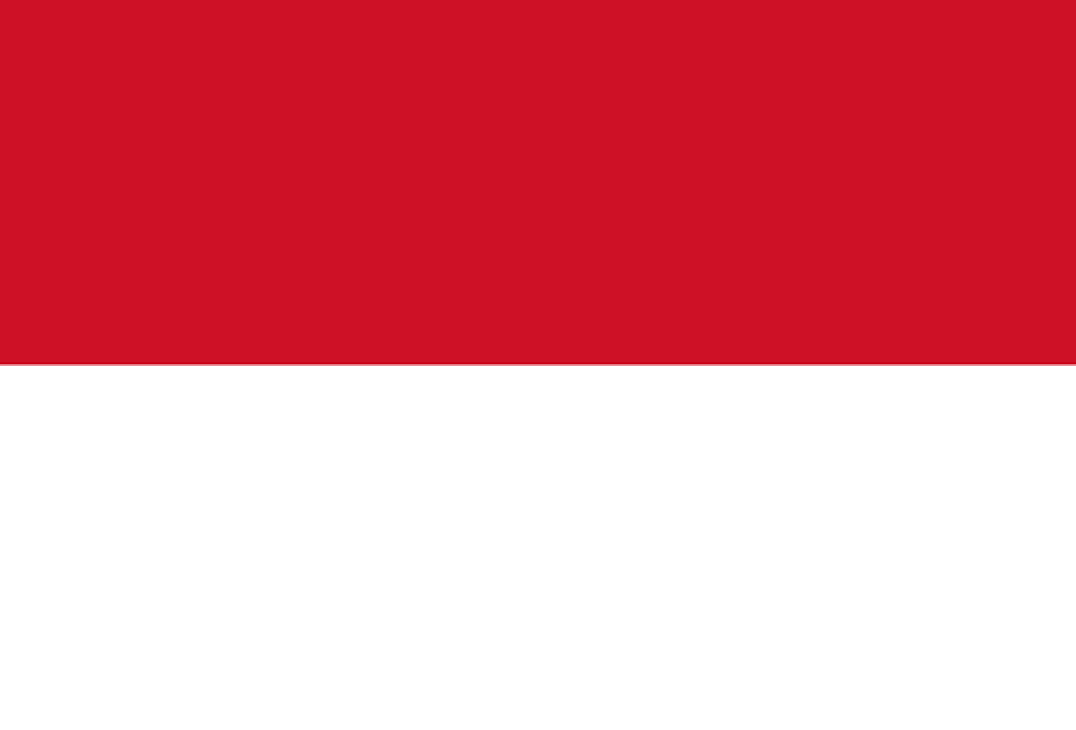 Flag of Indonesia 600x417