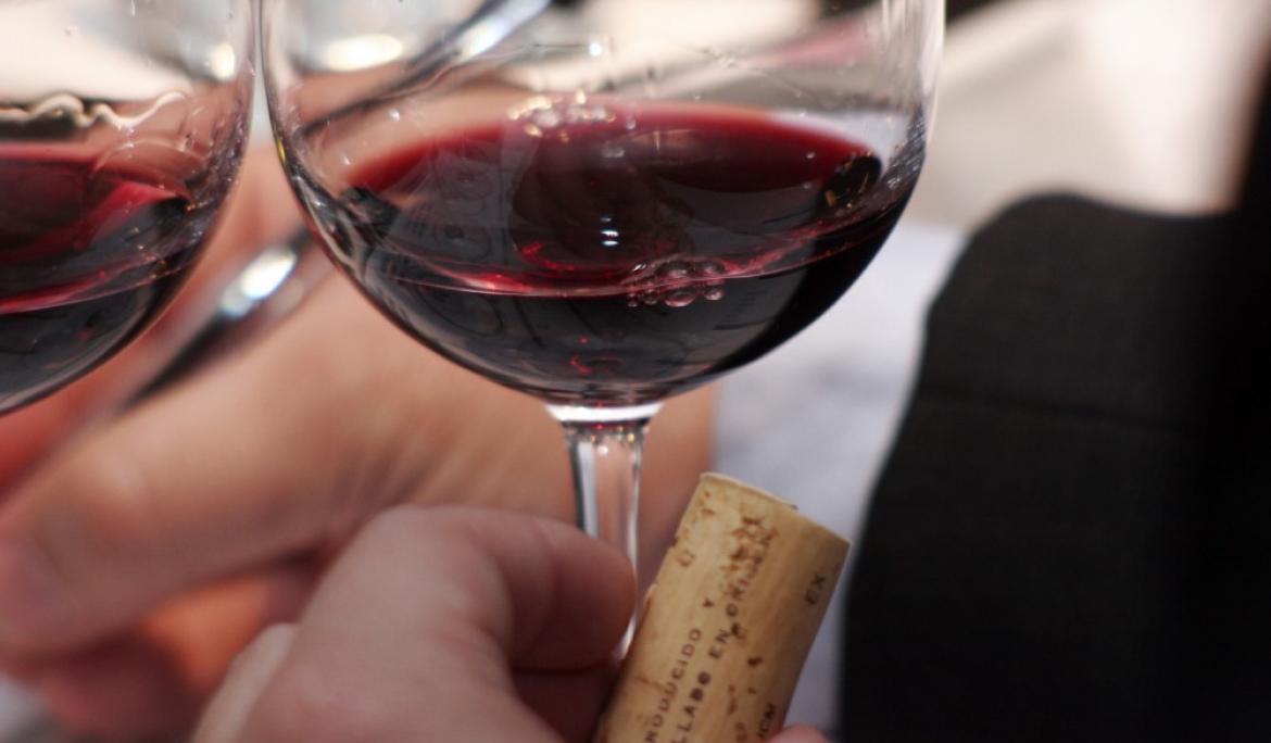 Penedès wine / Photo: TMB