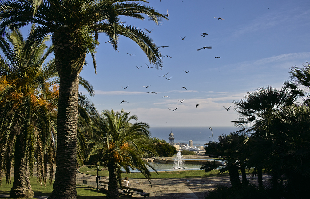 Parc Montjuïc fotografie