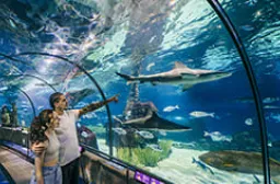 Aquarium von Barcelona