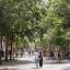 Carrer del Consell de Cent