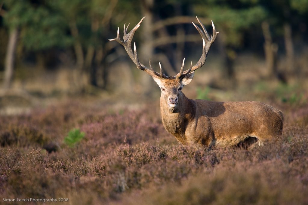 noord-veluwe