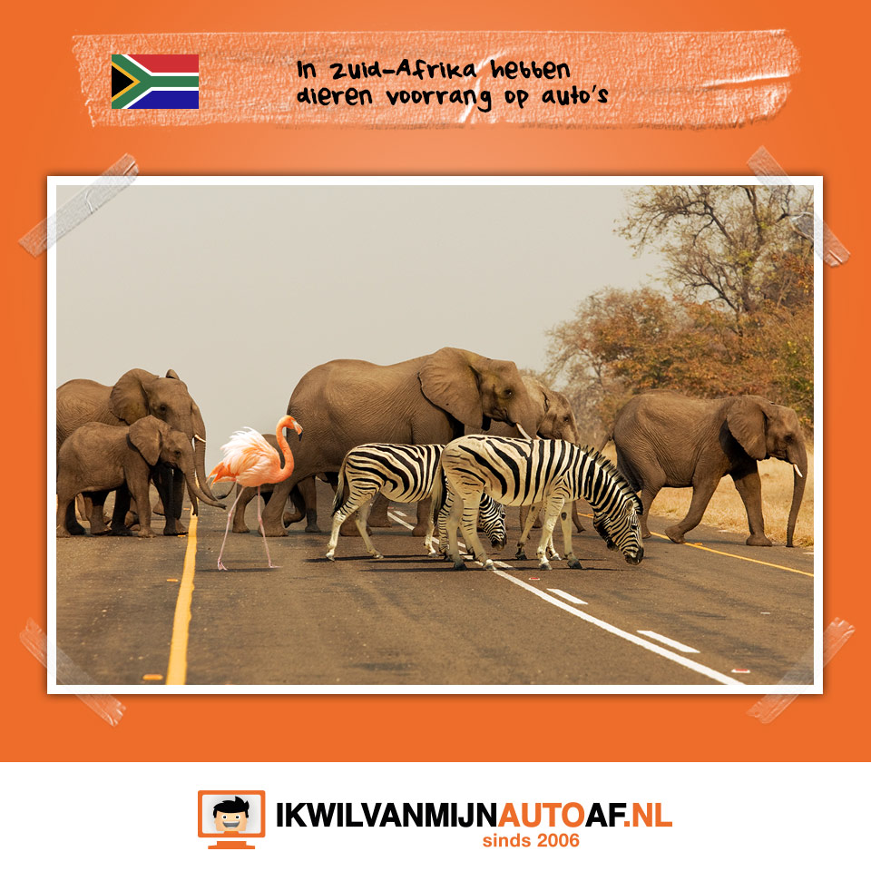 Dieren in Zuid-Afrika hebben voorrang
