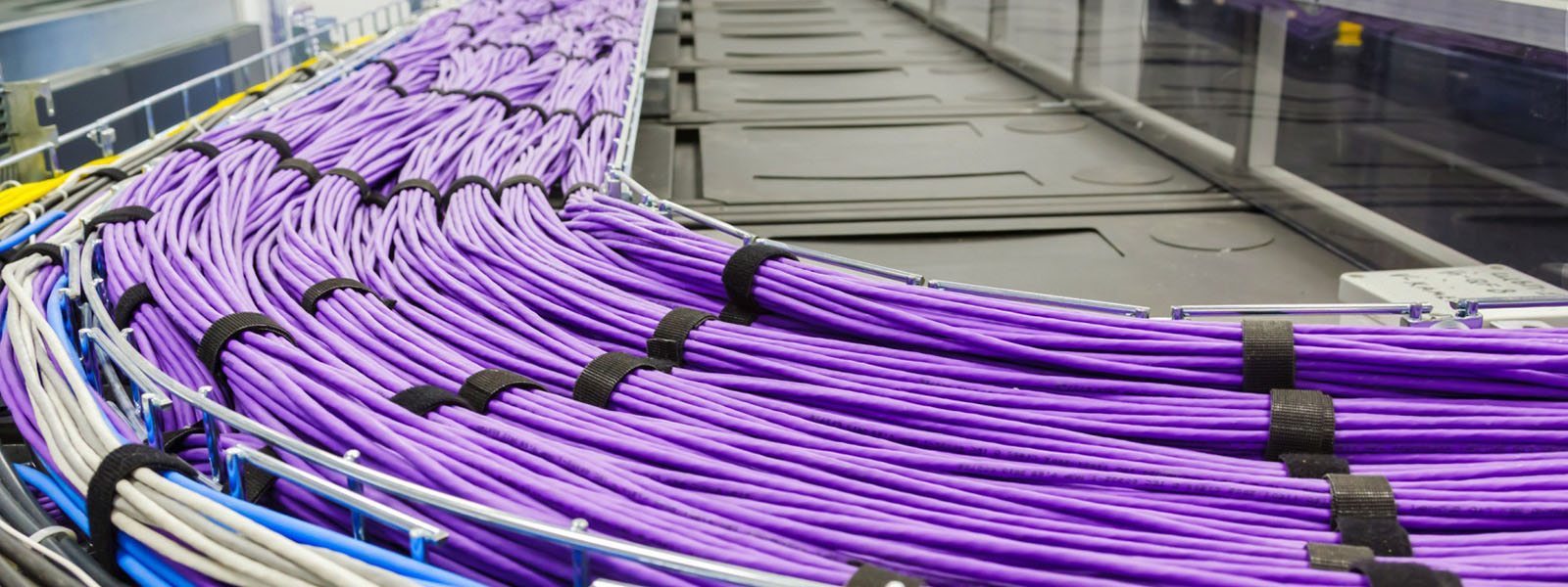 City & Guilds 3667-02