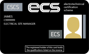 ECS Managers Black Card sample