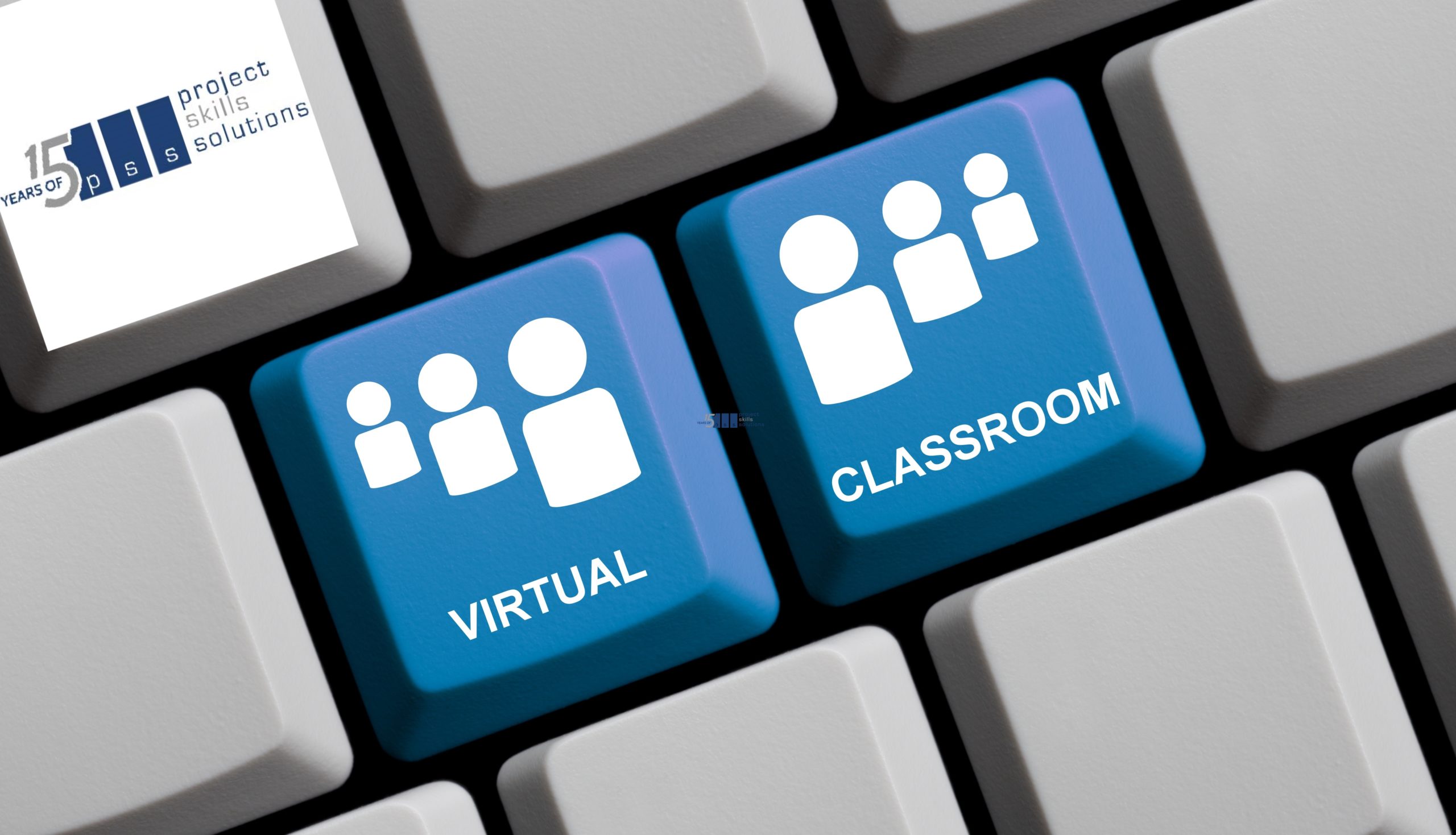 Virtual Training Courses Live Training Project Skills Solutions