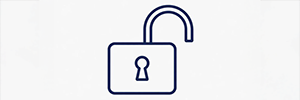 12-Month Access icon 300x100