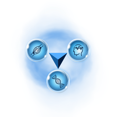 Deine Ausbildung zum Healing Humans Therapeuten