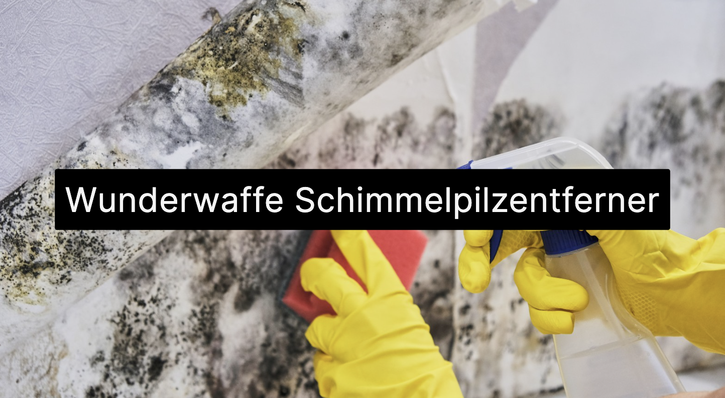 Wunderwaffe Schimmelpilzentferner