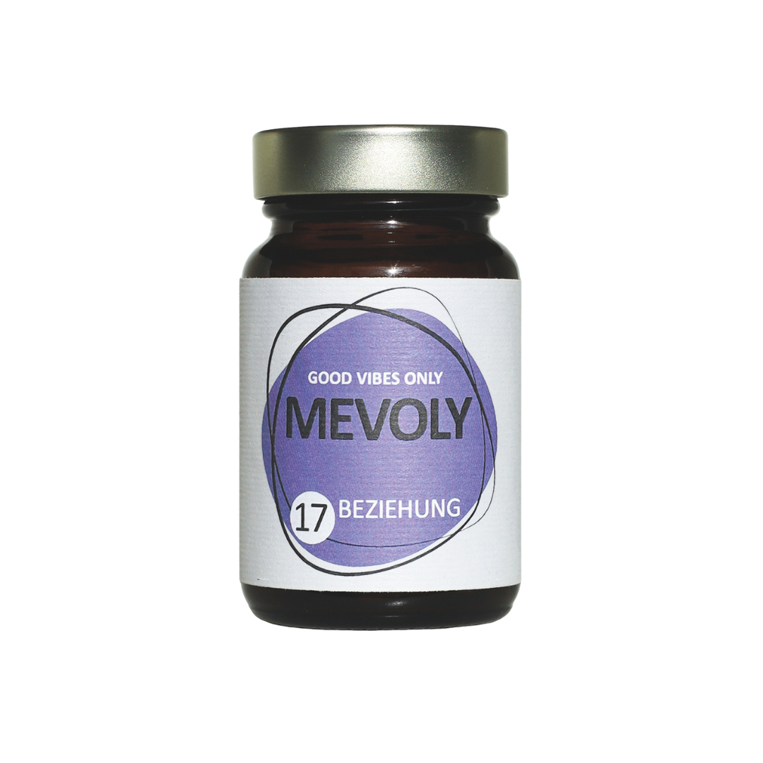 MEVOLY no° 17 BEZIEHUNG