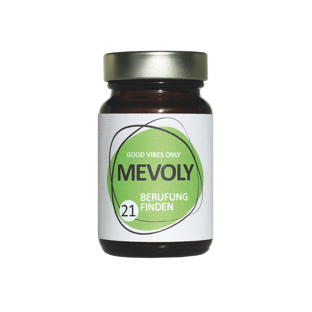 MEVOLY no° 21 BERUFUNG FINDEN