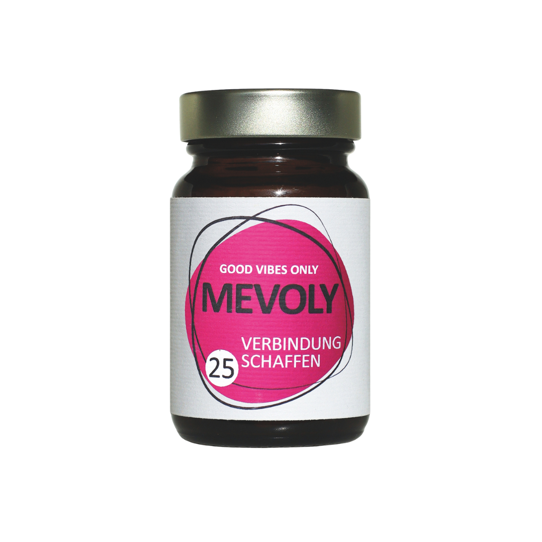 MEVOLY no° 25 VERBINDUNG SCHAFFEN