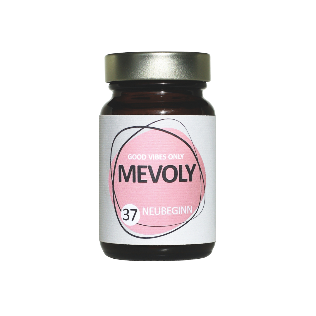 MEVOLY no° 37 NEUBEGINN