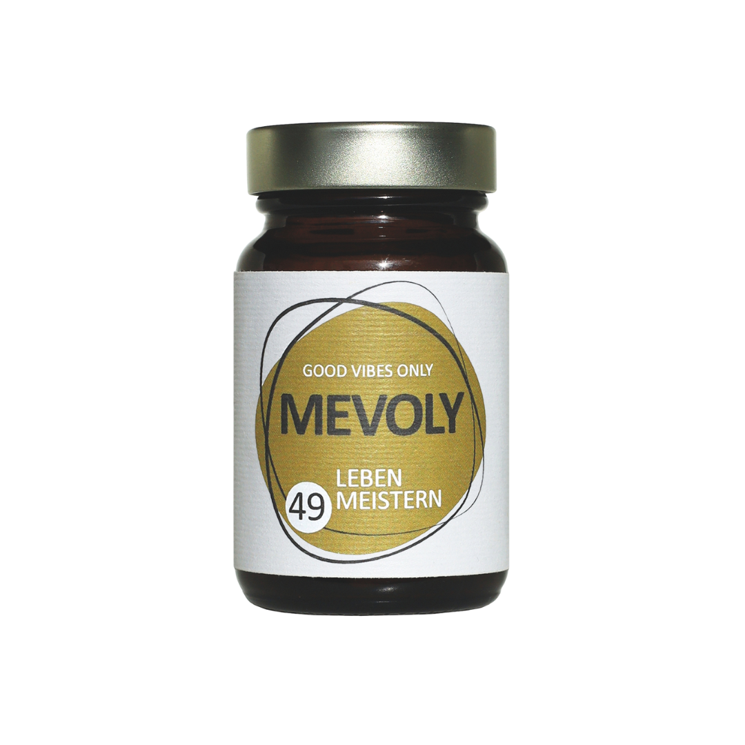 MEVOLY no° 49 LEBEN MEISTERN