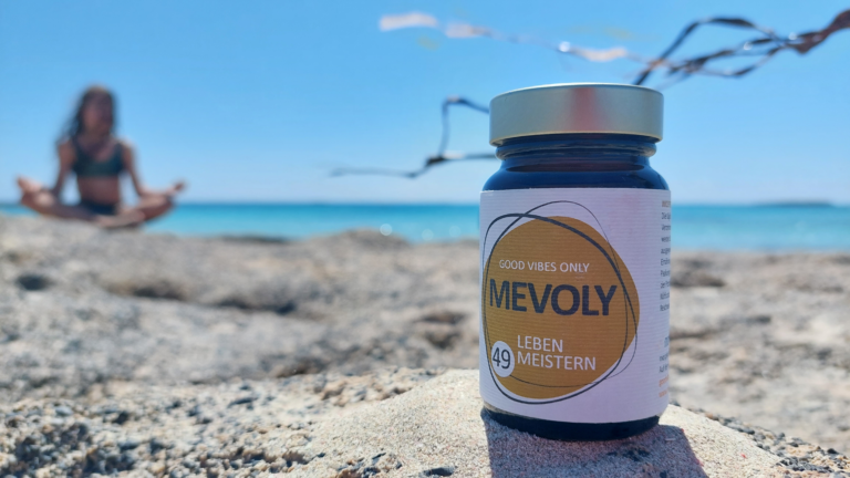 MEVOLY no° 49 LEBEN MEISTERN