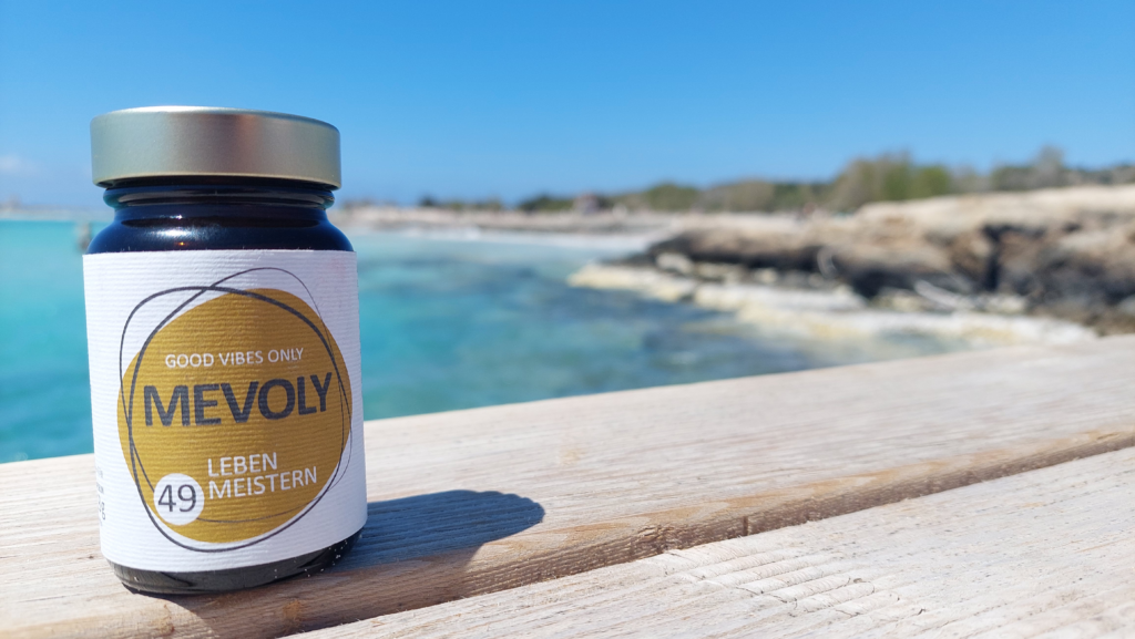 MEVOLY no° 49 LEBEN MEISTERN